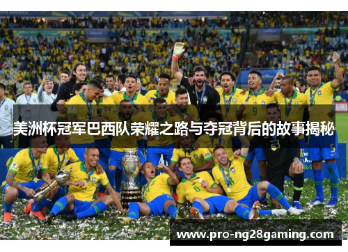 美洲杯冠军巴西队荣耀之路与夺冠背后的故事揭秘 美洲杯冠军巴西队荣耀之路与夺冠背后的故事揭秘