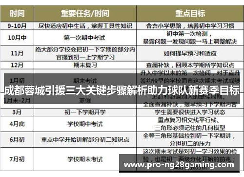 成都蓉城引援三大关键步骤解析助力球队新赛季目标